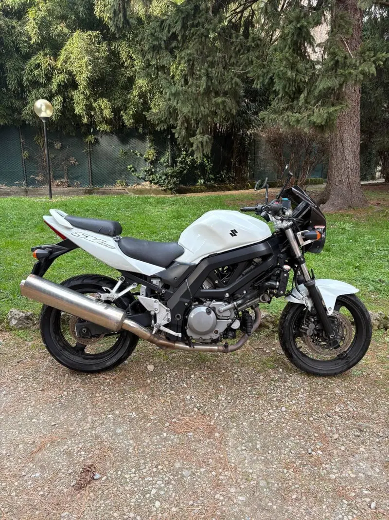 Suzuki SV 650 (2006 - 11) (2)