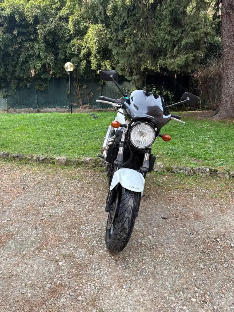 Suzuki SV 650 (2006 - 11) (7)