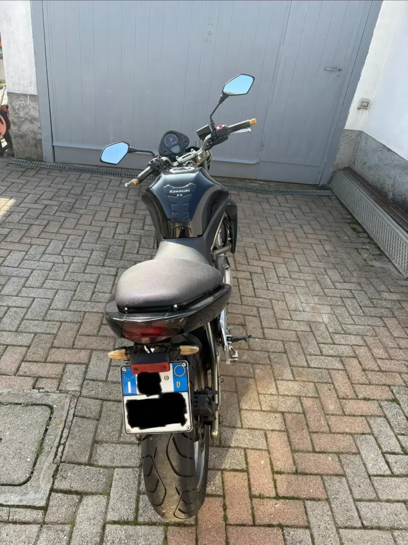 Kawasaki ER-6N (2005 - 08) (3)