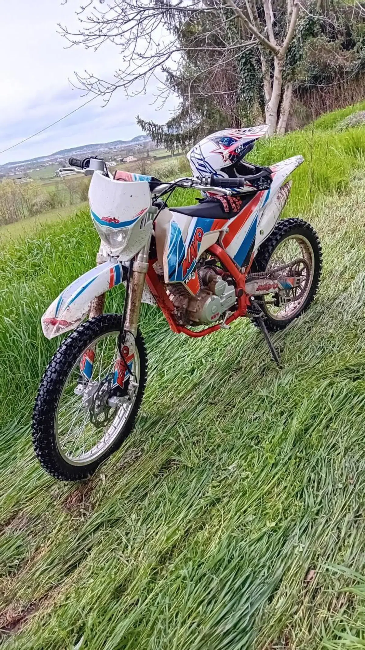 KTM 250 SX (2023) (3)