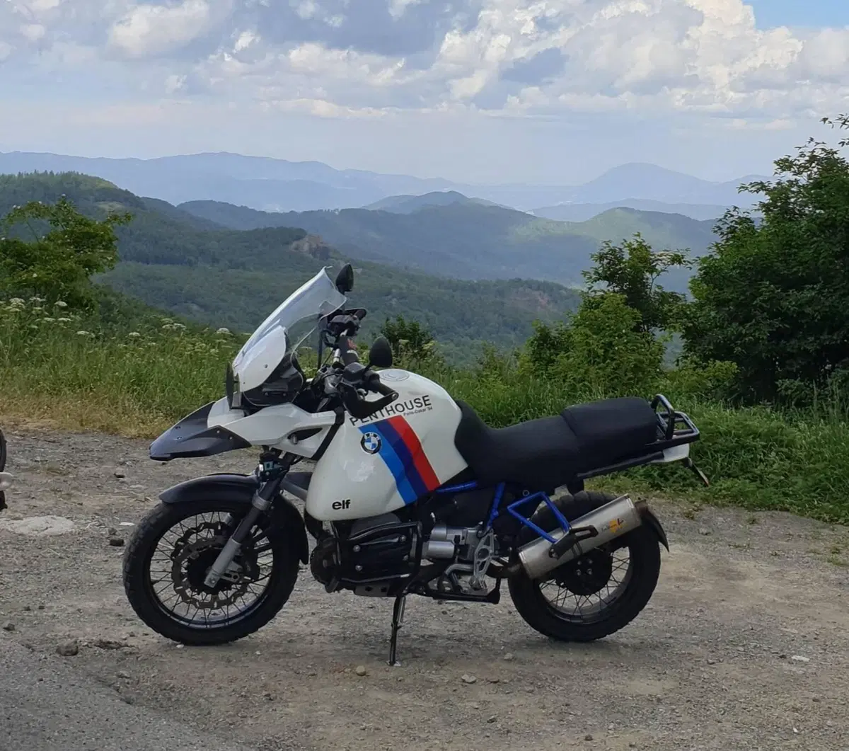 Bmw R 1150 GS (1999 - 03) (8)