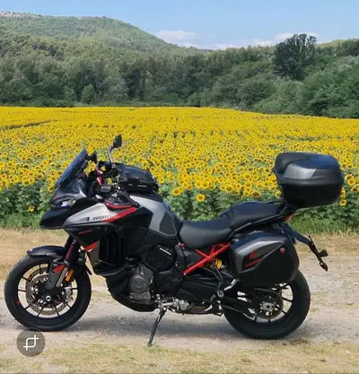 Ducati Multistrada V4 (2021 - 24) usata