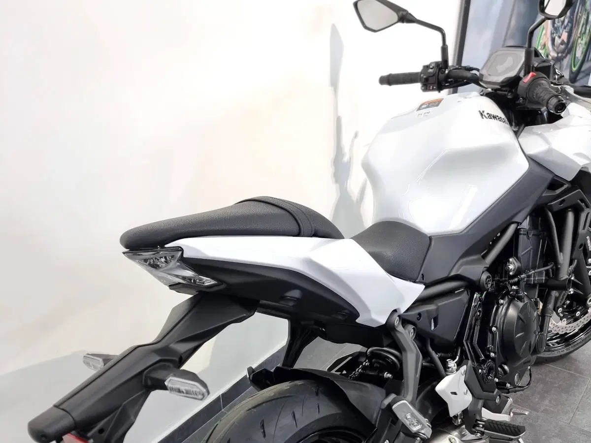 Kawasaki Z 650 (2025 - 26) (3)