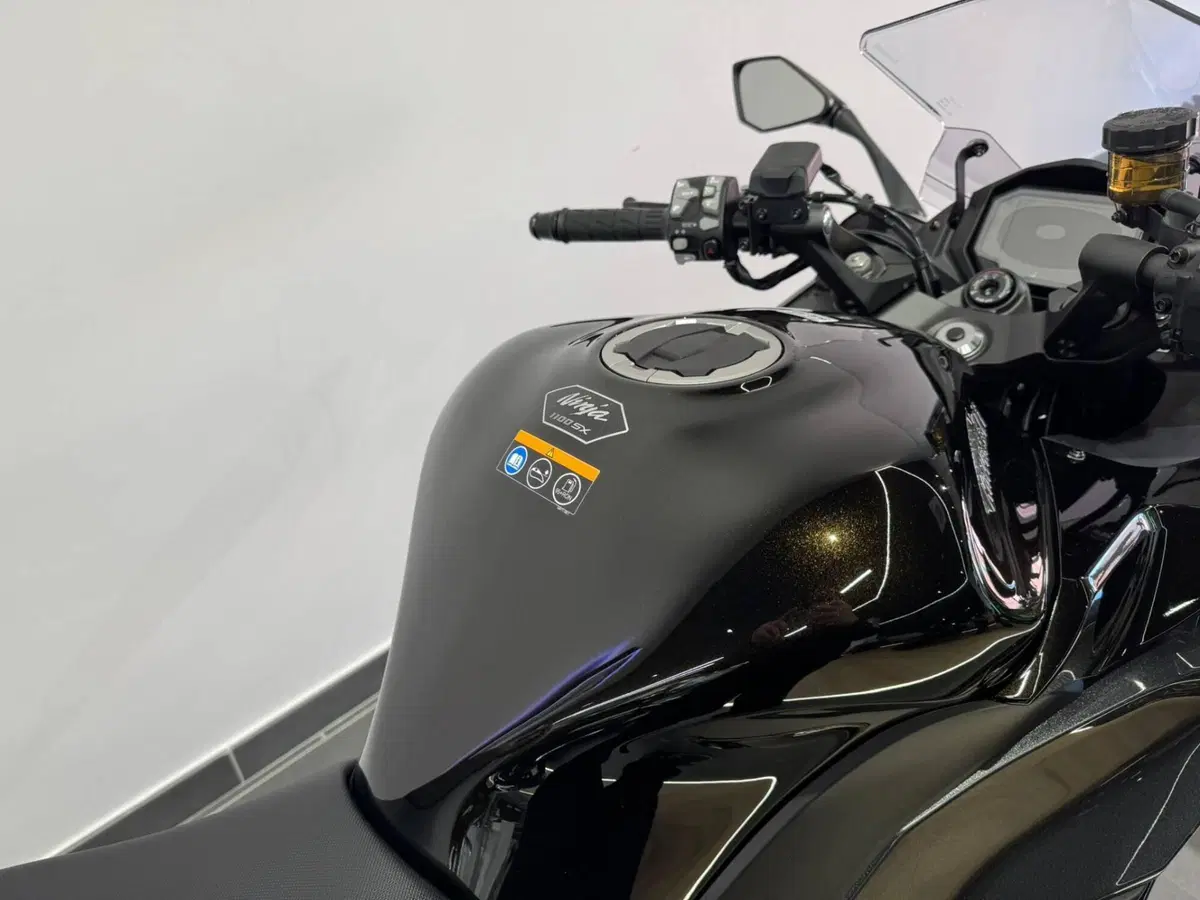 Kawasaki Ninja 1100 SX (2025 - 26) (5)