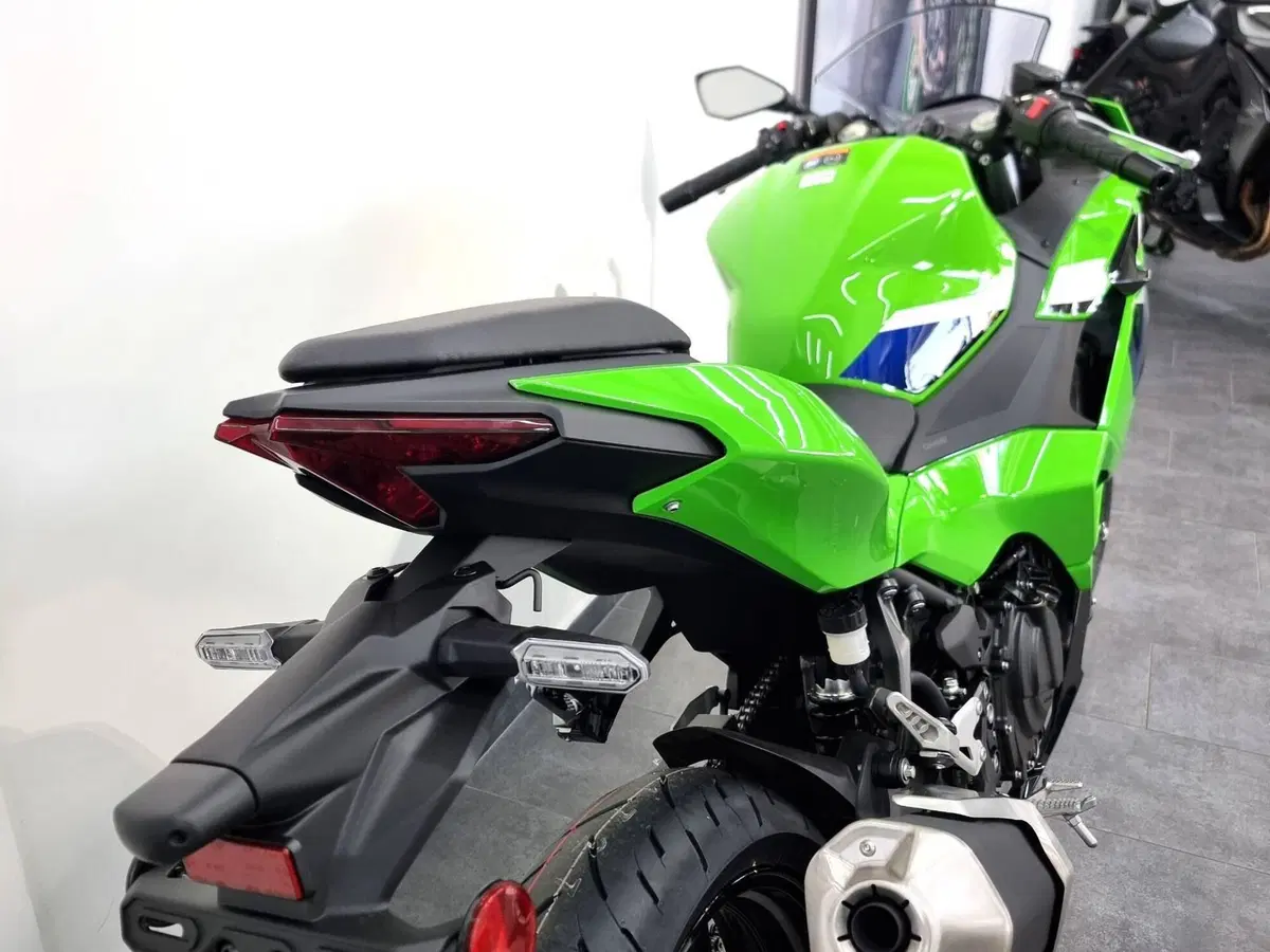 Kawasaki Ninja 500 SE (2024 - 26) (6)