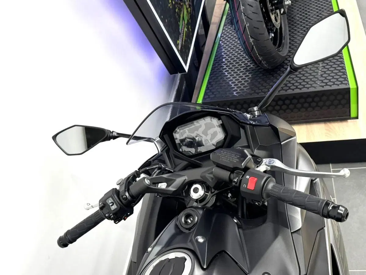 Kawasaki Ninja 650 (2025 - 26) (8)