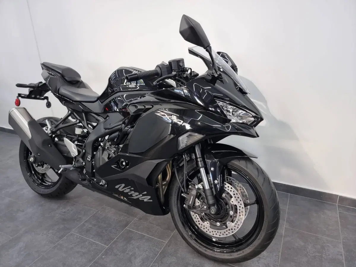 Kawasaki Ninja ZX-4R (2024 - 26) (2)
