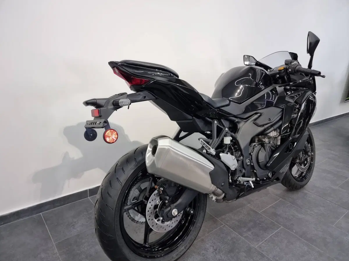 Kawasaki Ninja ZX-4R (2024 - 26) (4)