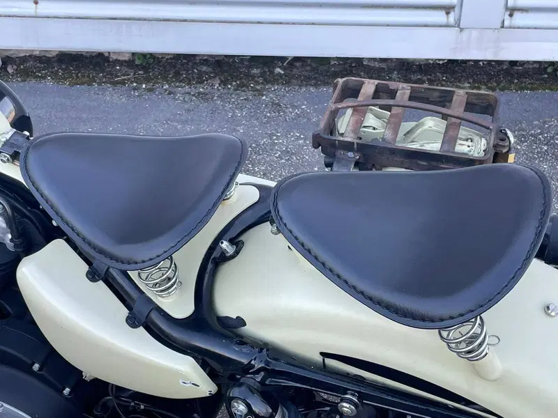 Harley-Davidson 1200 Forty-Eight (2016 - 20) (12)
