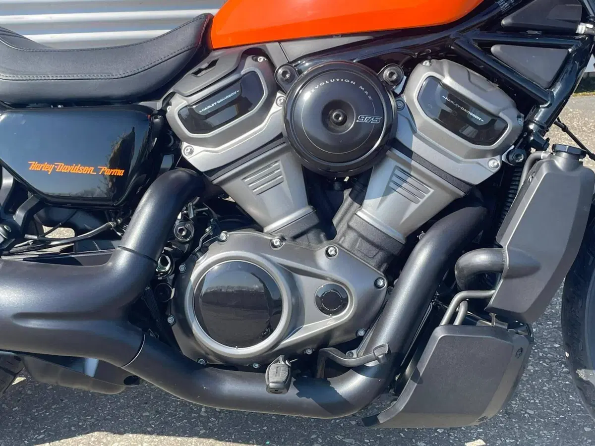 Harley-Davidson Nightster Special (2023 - 26) (4)