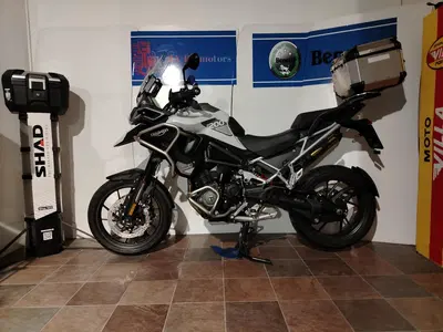 Triumph Tiger 1200 GT Pro (2022 - 23) usata