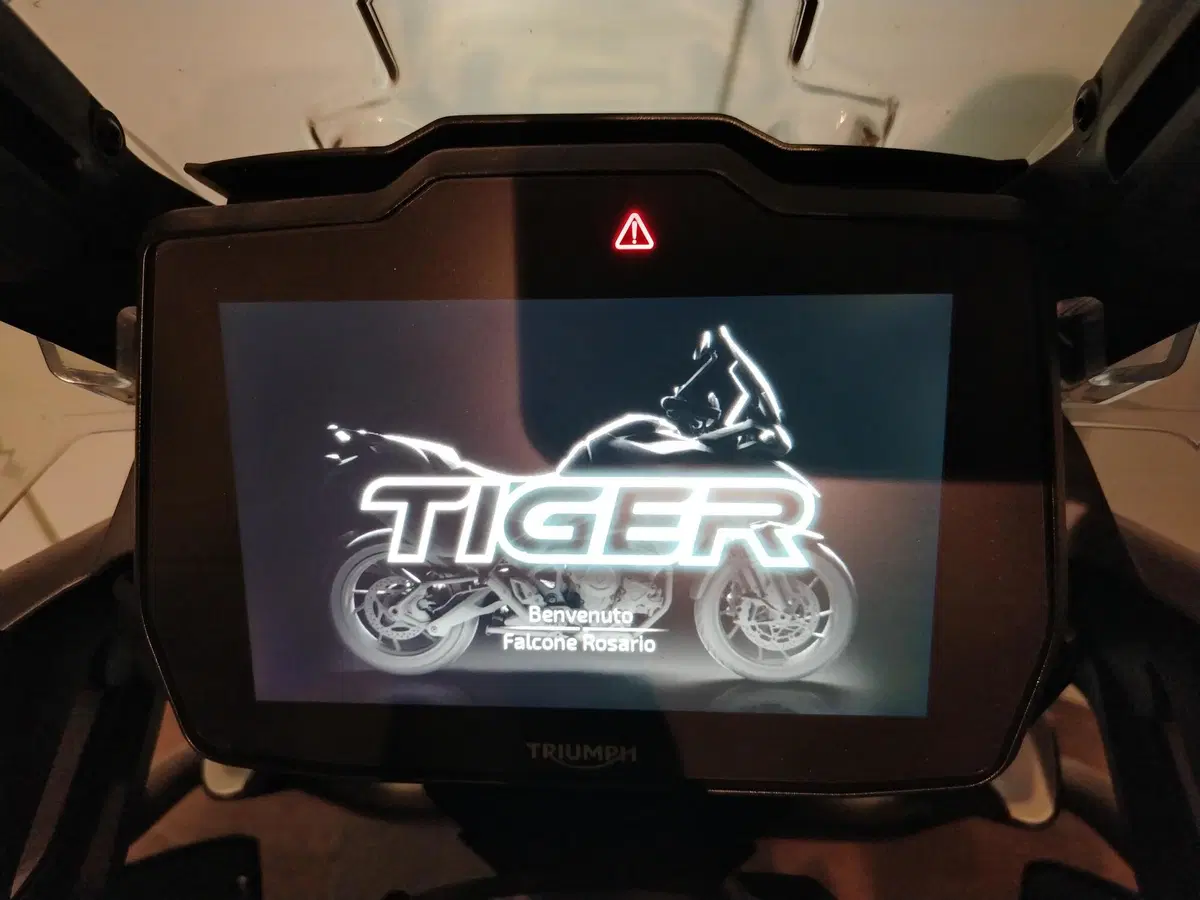 Triumph Tiger 1200 GT Pro (2022 - 23) (5)