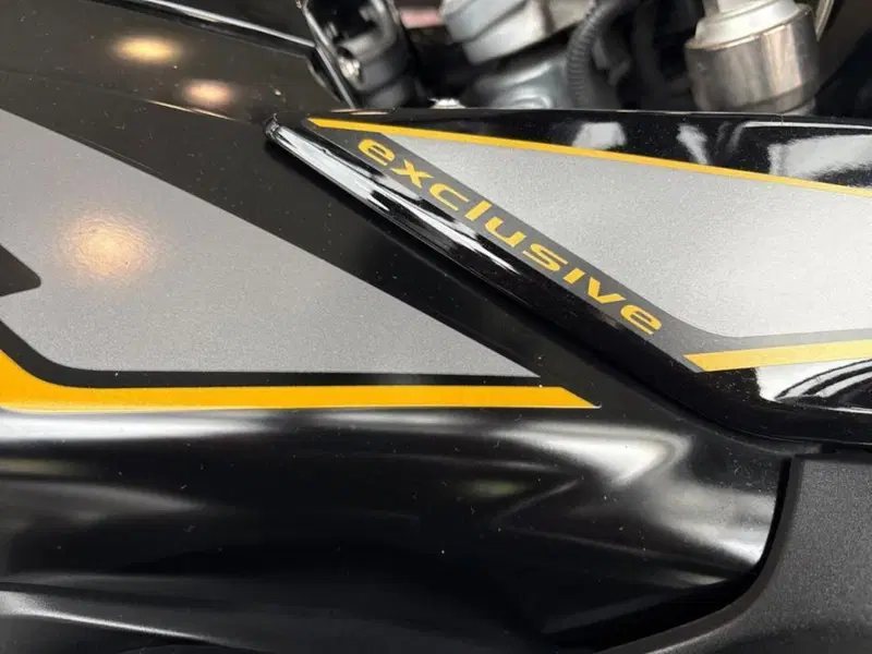 Bmw R 1250 GS (2019 - 20) (11)