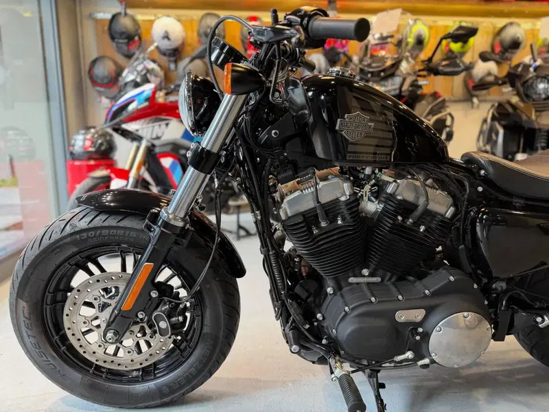 Harley-Davidson 1200 Forty-Eight (2016 - 20) (3)
