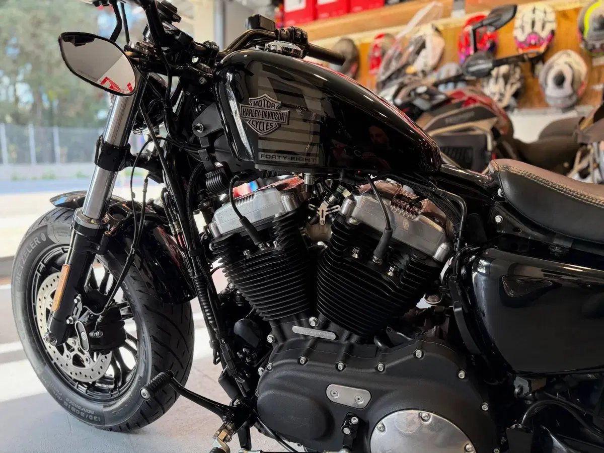 Harley-Davidson 1200 Forty-Eight (2016 - 20) (4)
