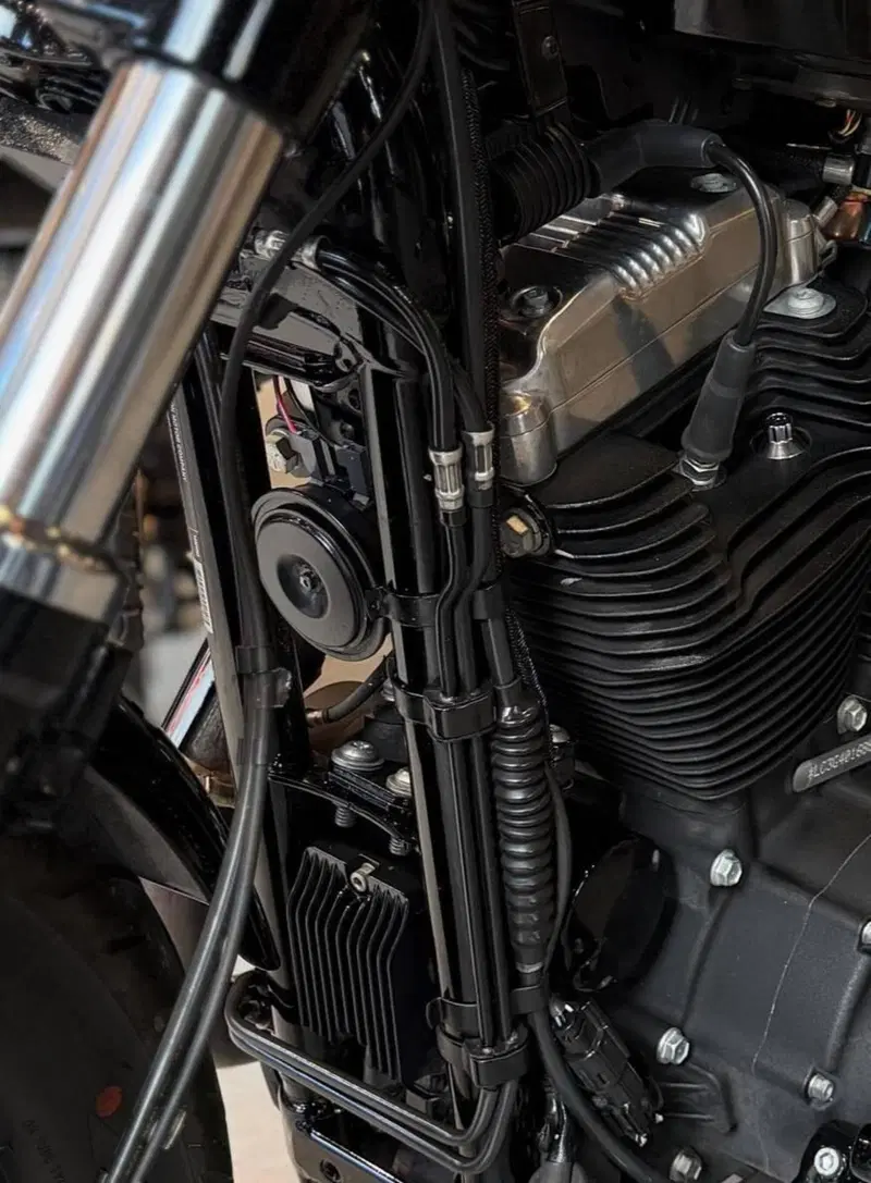 Harley-Davidson 1200 Forty-Eight (2016 - 20) (7)