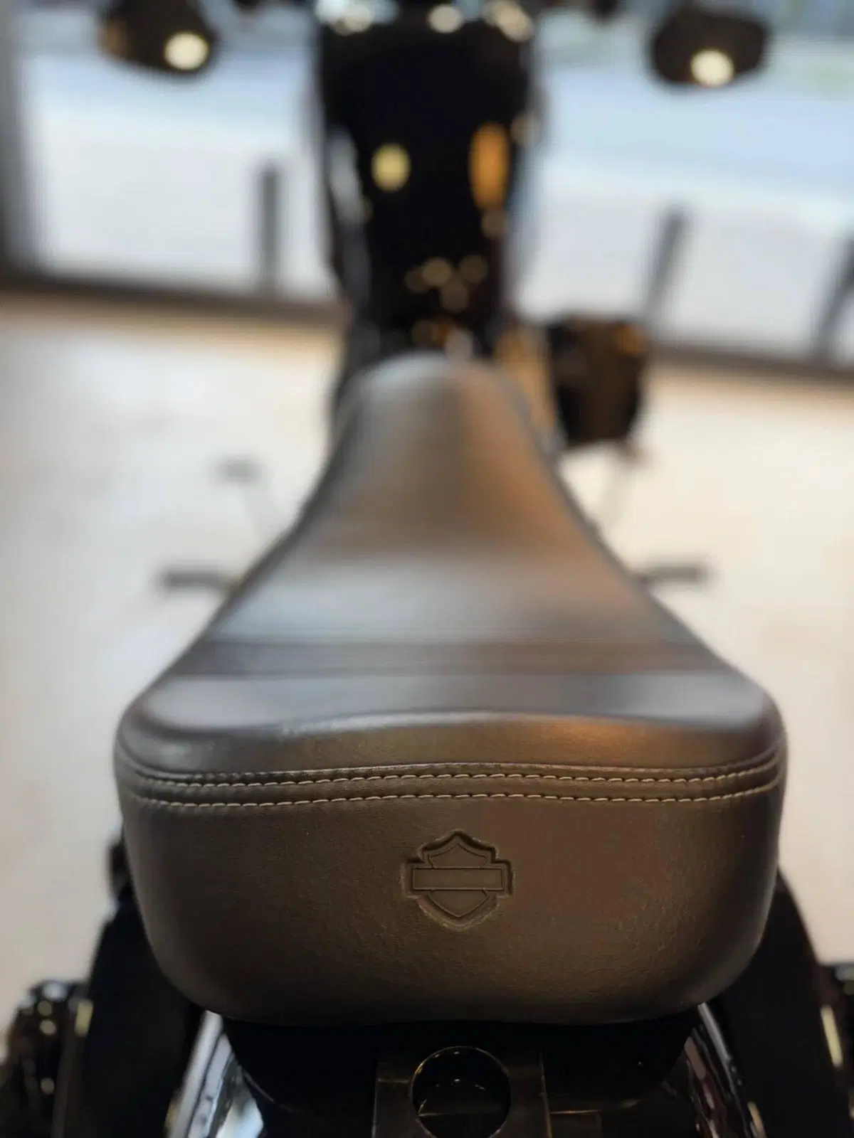 Harley-Davidson 1200 Forty-Eight (2016 - 20) (14)
