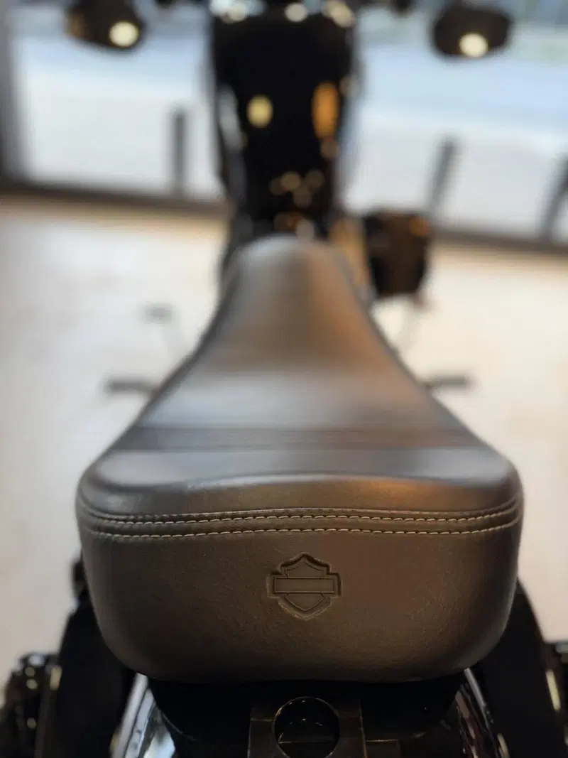 Harley-Davidson 1200 Forty-Eight (2016 - 20) (14)