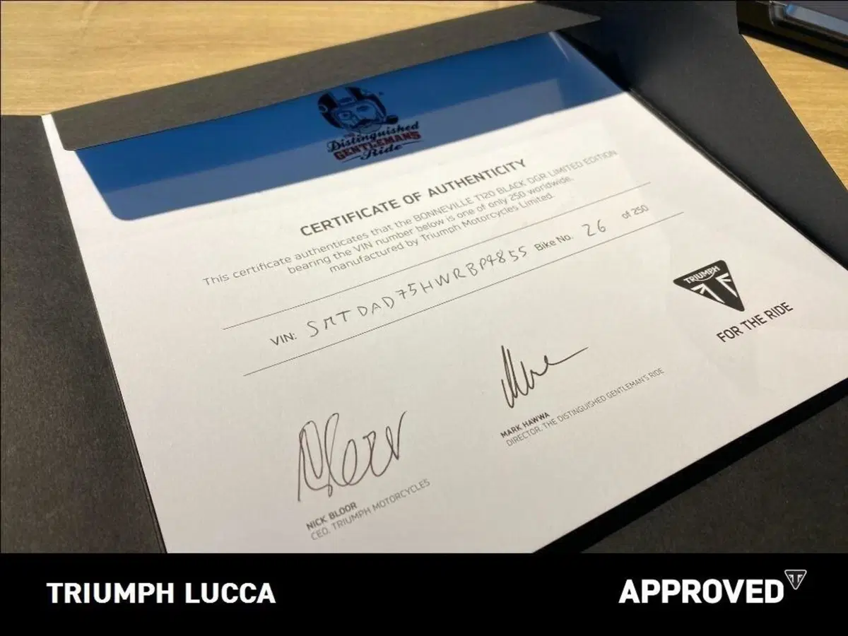 Triumph Bonneville T120 Black DGR Limited Edition (2023) (8)