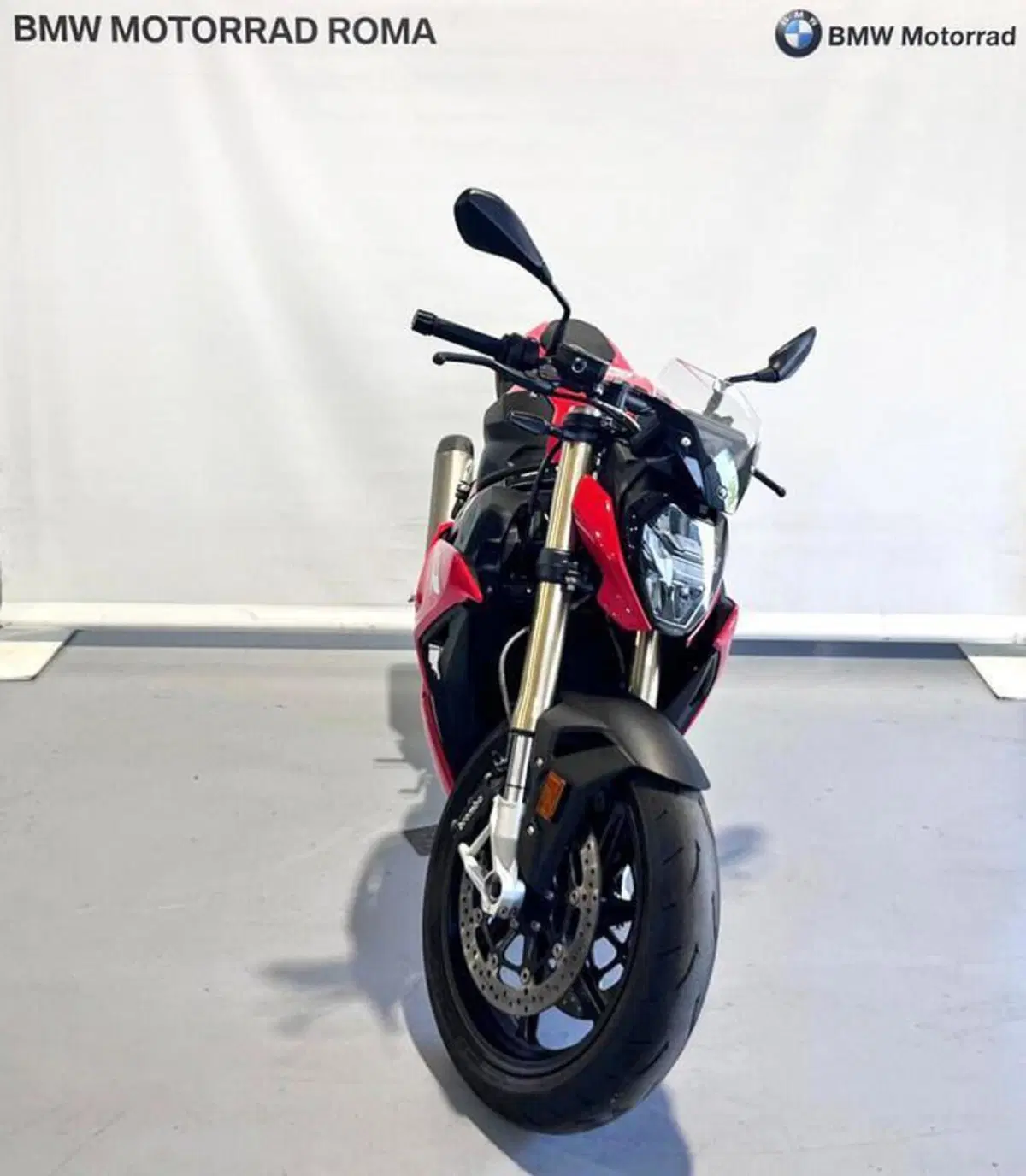 Bmw S 1000 R (2017 - 20) (3)