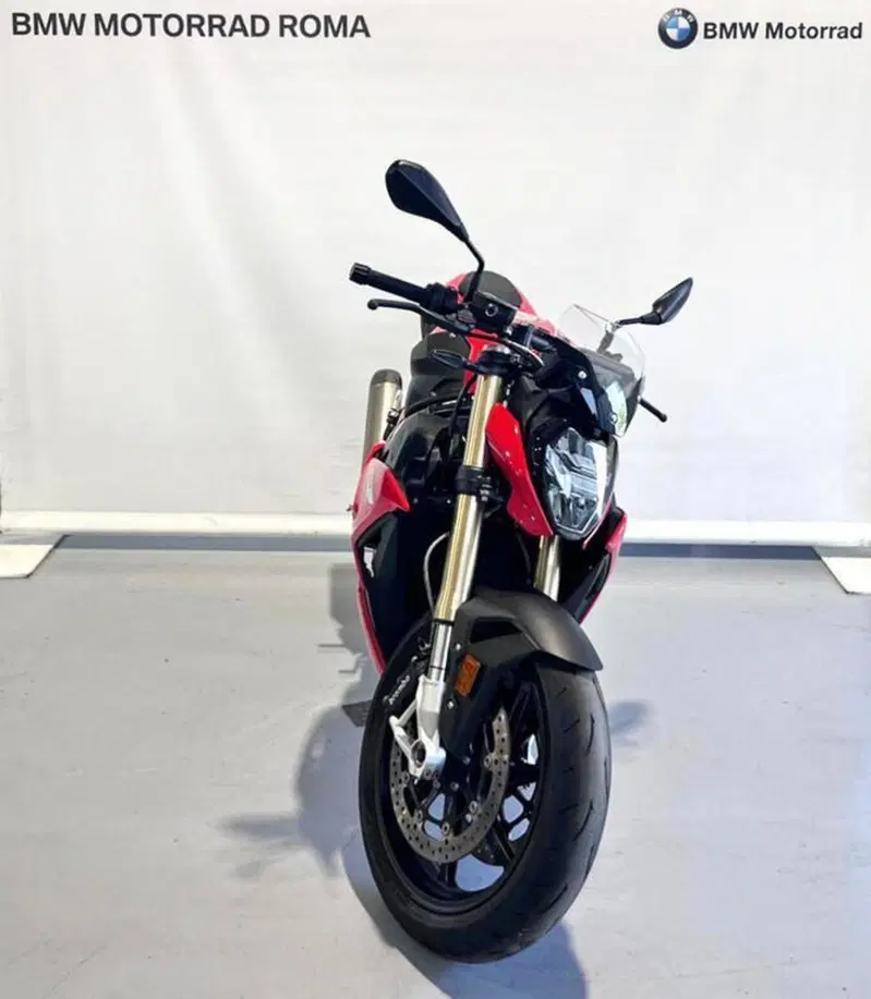 Bmw S 1000 R (2017 - 20) (3)
