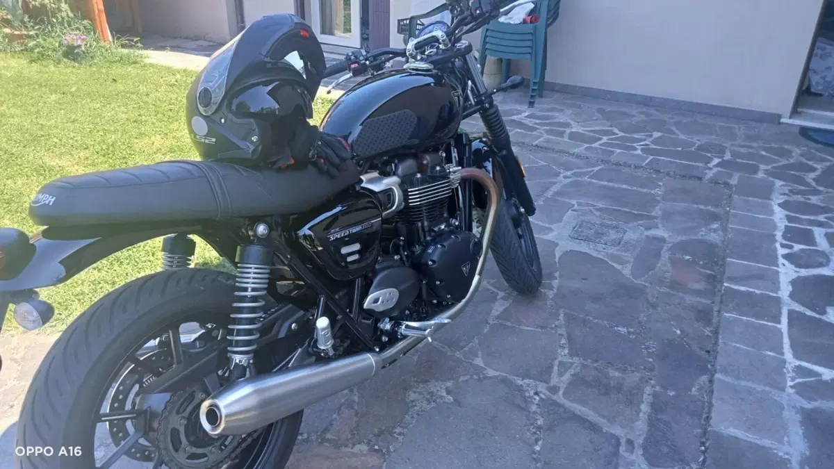 Triumph Speed Twin 900 Stealth Edition (2024) (2)