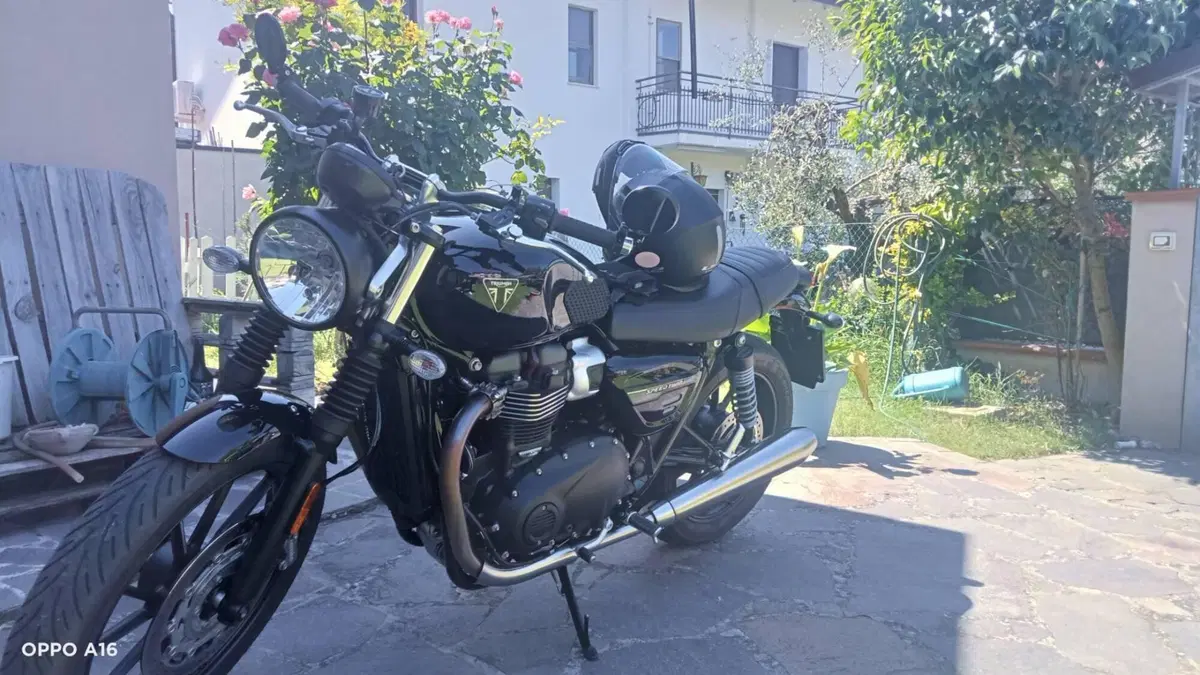 Triumph Speed Twin 900 Stealth Edition (2024) (5)