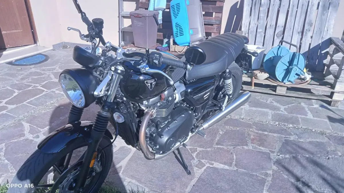 Triumph Speed Twin 900 Stealth Edition (2024) (8)