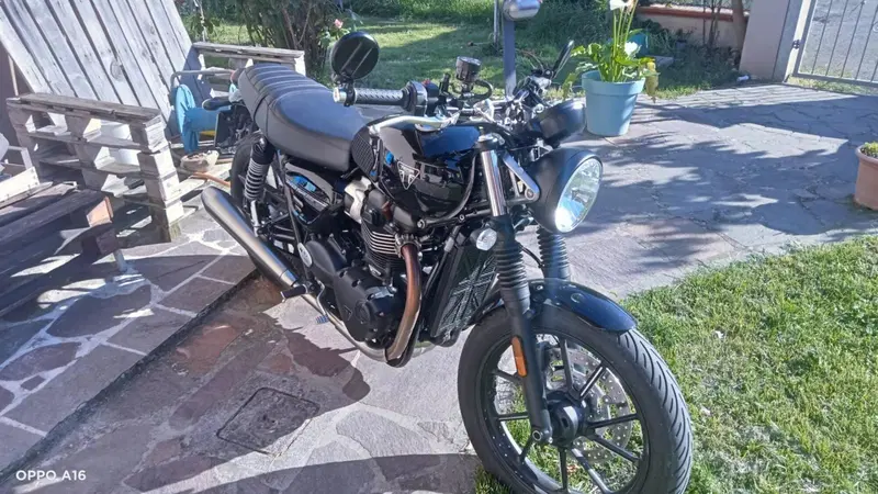 Triumph Speed Twin 900 Stealth Edition (2024) (9)