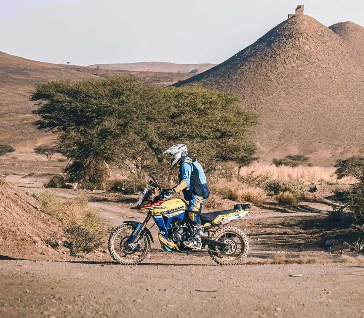 Suzuki V-Strom 800DE: l'usato del giorno di Moto.it [GALLERY] (3)