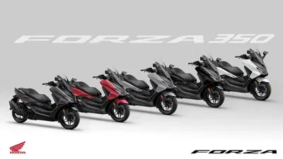 Honda Forza 350 (2025 - 26) nuova
