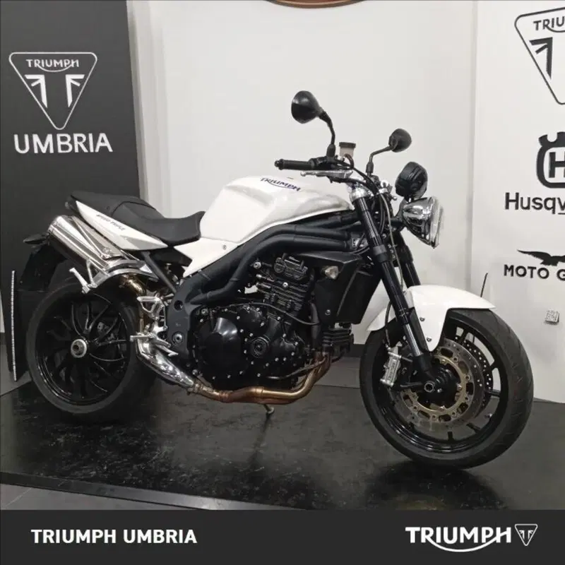 Triumph Speed Triple 1050 (2005 - 11) (14)