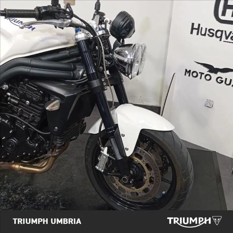 Triumph Speed Triple 1050 (2005 - 11) (15)