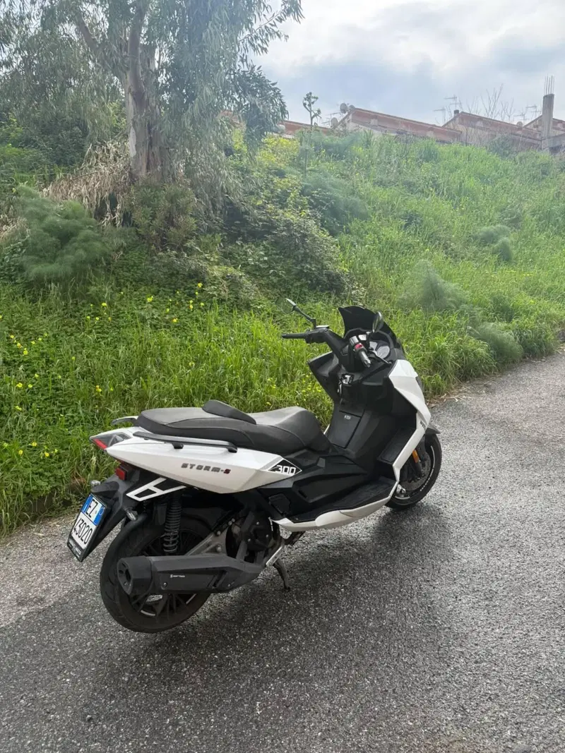 Wottan Motor Storm-S 300 (2020 - 25) (3)