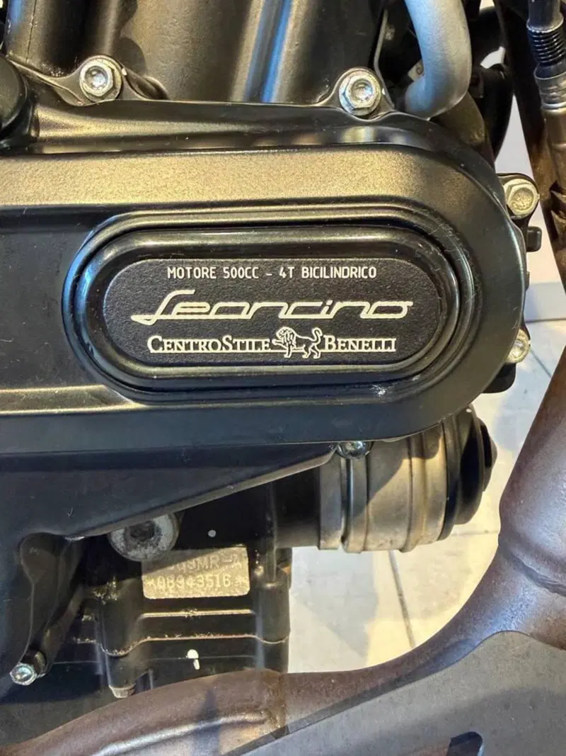 Benelli Leoncino 500 (2021 - 25) (9)