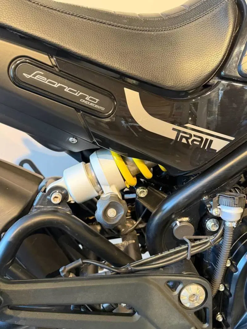 Benelli Leoncino 500 (2021 - 25) (6)