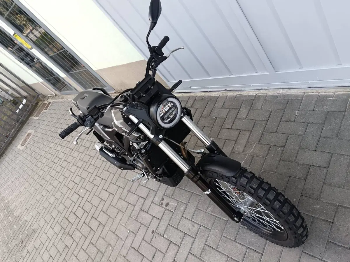 Betamotor Alp X (2024 - 26) (19)