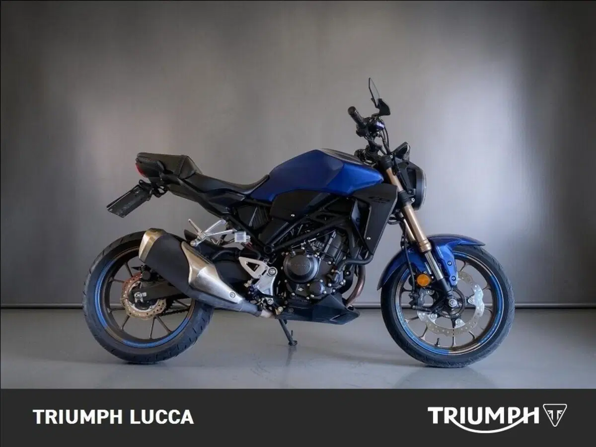 Honda CB 300 R (2022 - 26)