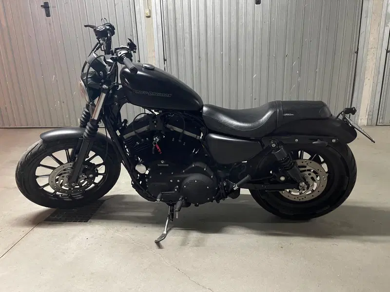 Harley-Davidson 883 (2008 - 09) - XL (2)
