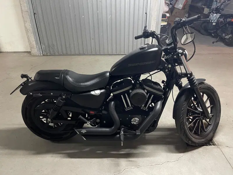 Harley-Davidson 883 (2008 - 09) - XL (4)