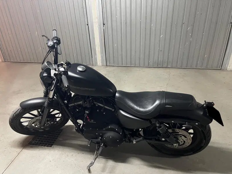 Harley-Davidson 883 (2008 - 09) - XL (7)