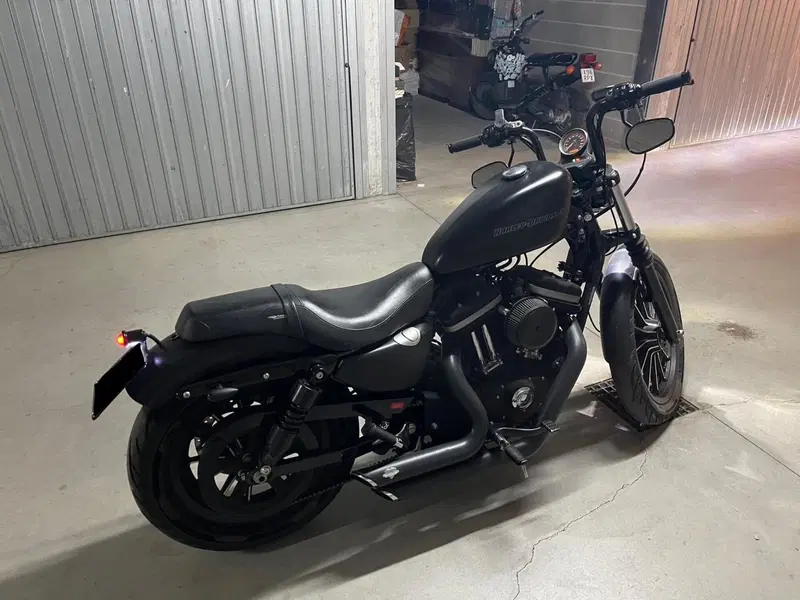 Harley-Davidson 883 (2008 - 09) - XL (8)
