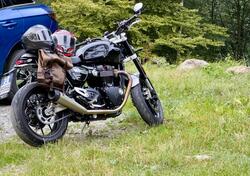 Triumph Speed Twin 1200 (2021 - 24) usata