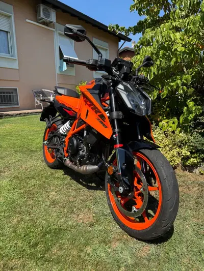 KTM 390 Duke (2024 - 25) usata