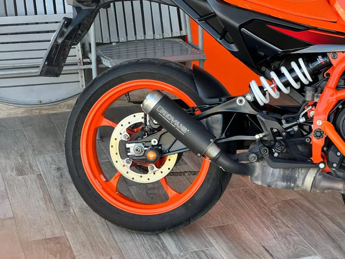 KTM 390 Duke (2024 - 25) (3)