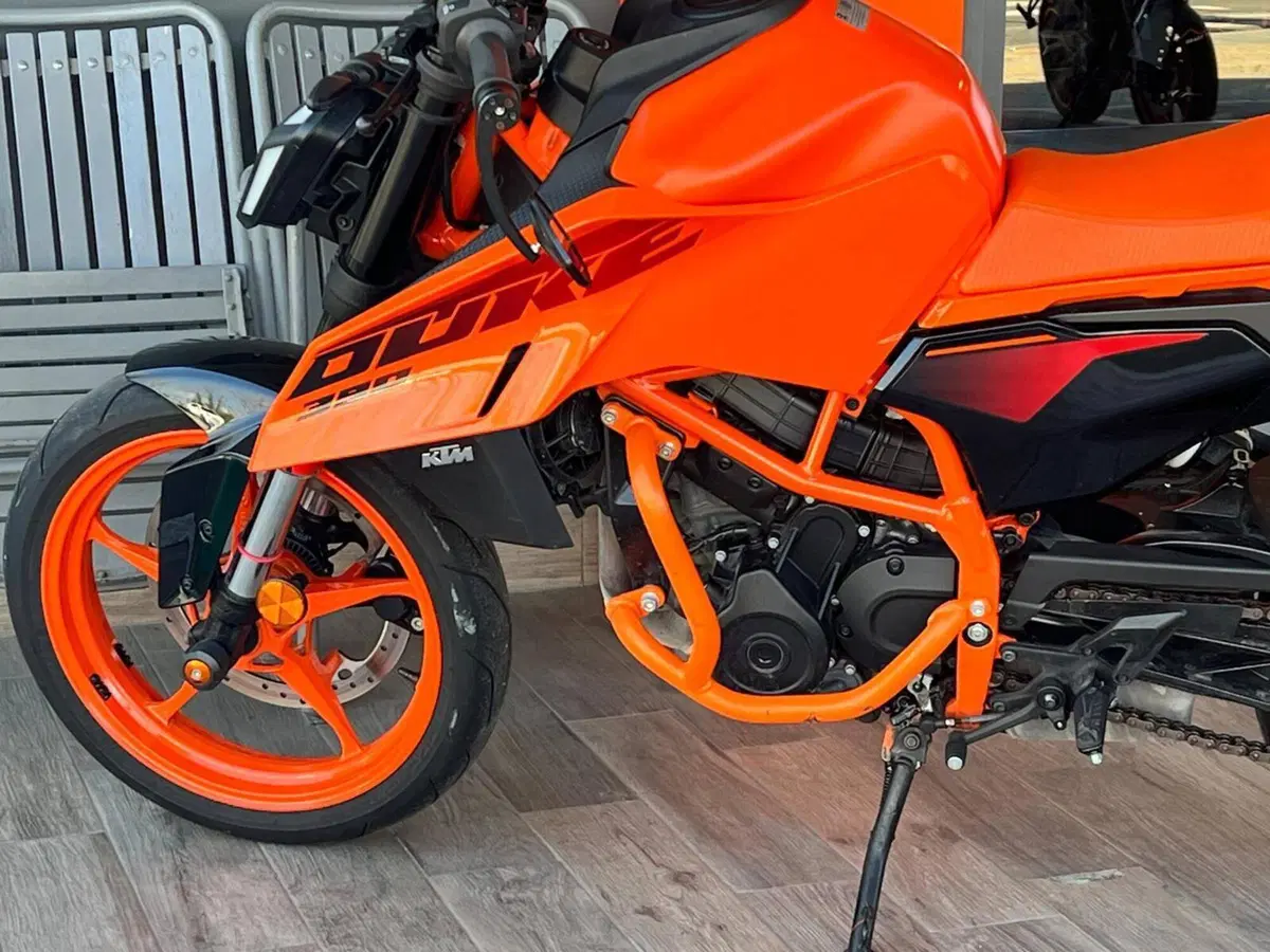 KTM 390 Duke (2024 - 25) (6)