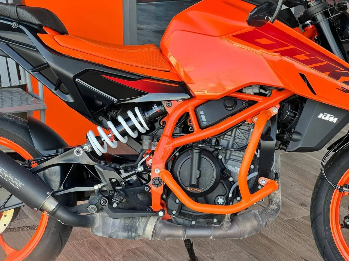 KTM 390 Duke (2024 - 25) (7)