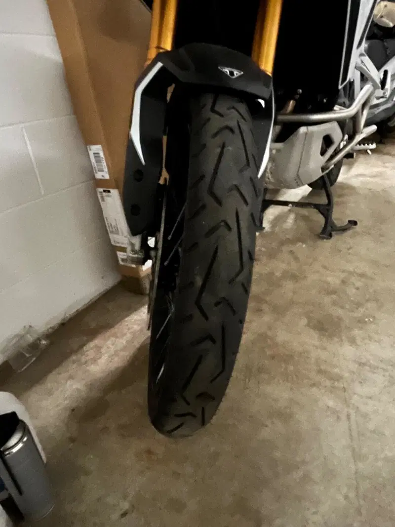 Triumph Tiger 900 Rally Pro (2024 - 26) (3)