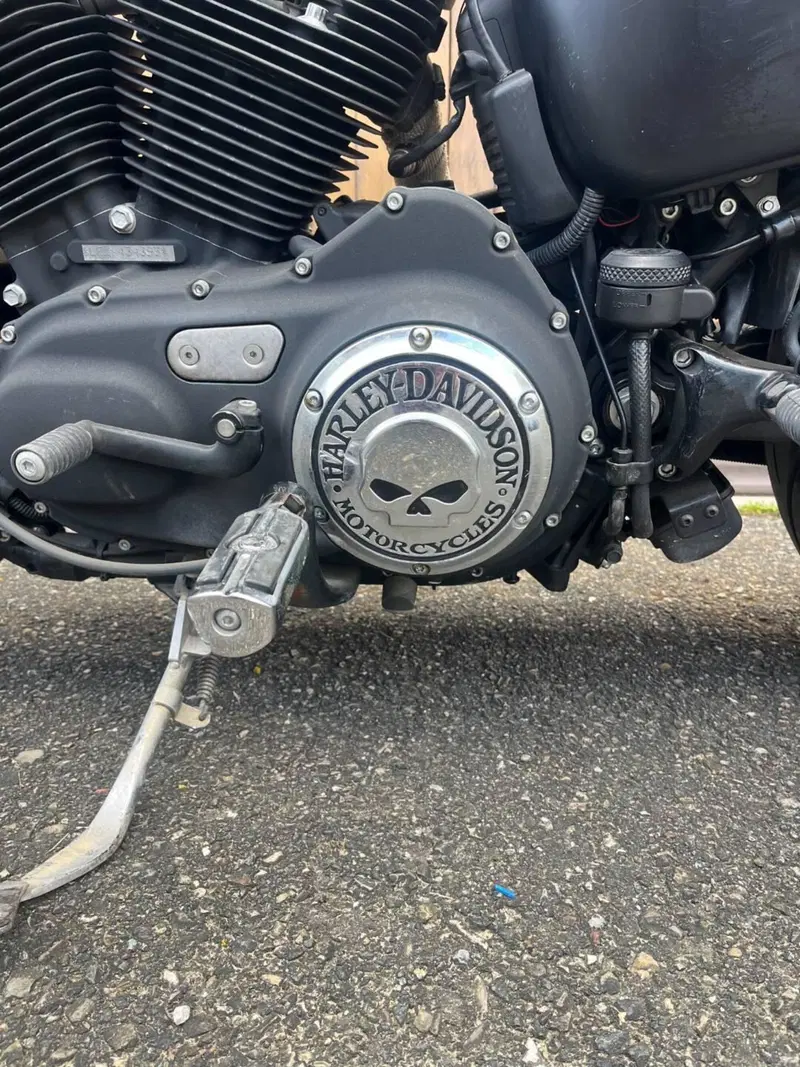 Harley-Davidson 883 Iron (2009 - 11) - XL 883N (5)