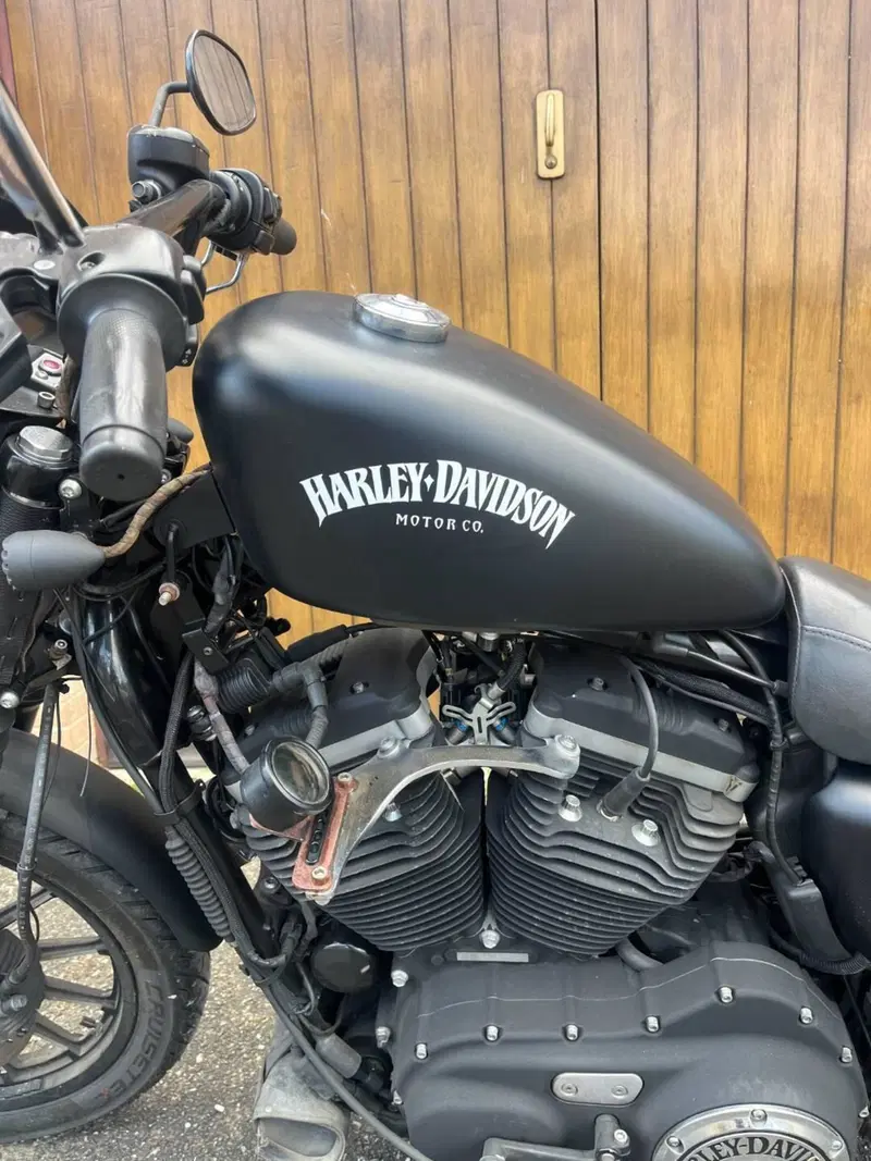 Harley-Davidson 883 Iron (2009 - 11) - XL 883N (13)